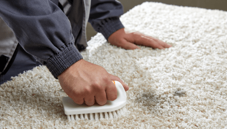 Professional Rug Cleaning Notting Hill